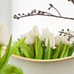 About the Dutch Tulip - lovethenetherlands.com