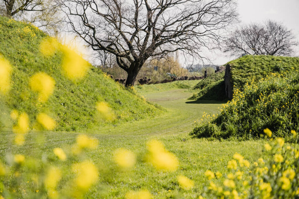 Why the Netherlands is also called Holland – Love the Netherlands