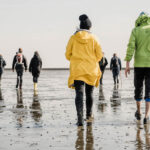 Mudflat hiking in the Wadden Sea - lovethenetherlands.com