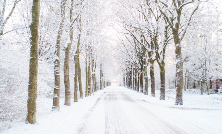 Snowfall in the Netherlands - lovethenetherlands.com