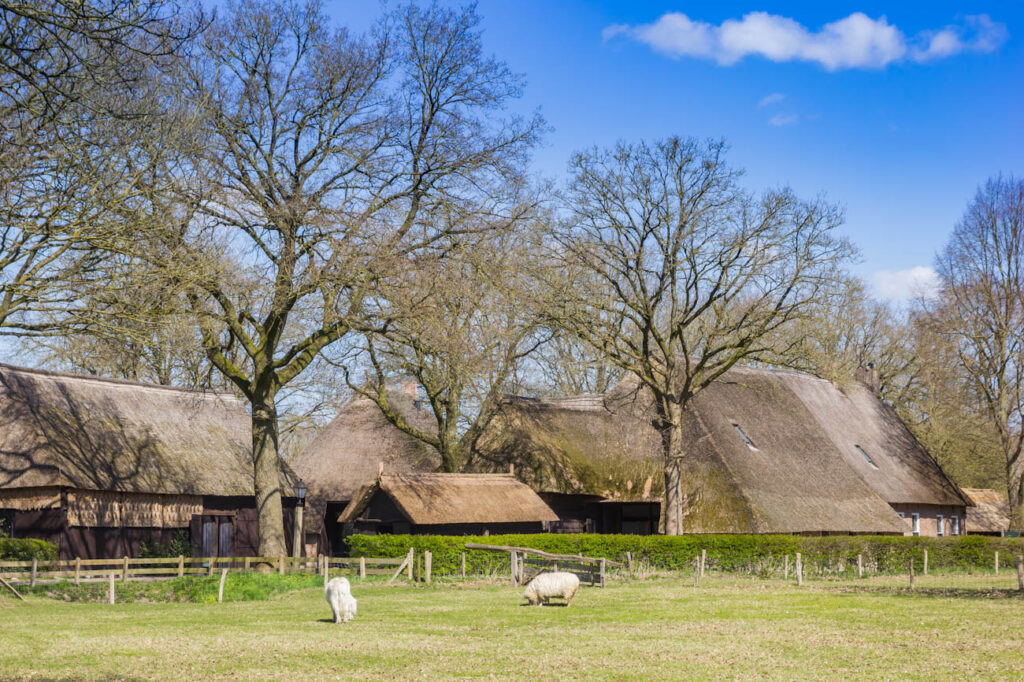 What to do in Drenthe in the Netherlands – Love the Netherlands