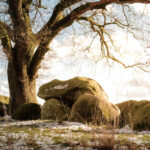 About dolmens in the Netherlands - lovethenetherlands.com