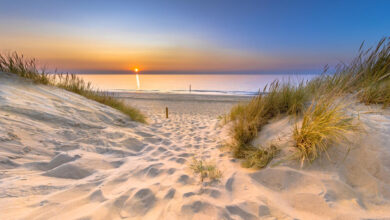 Most beautiful beaches in the Netherlands